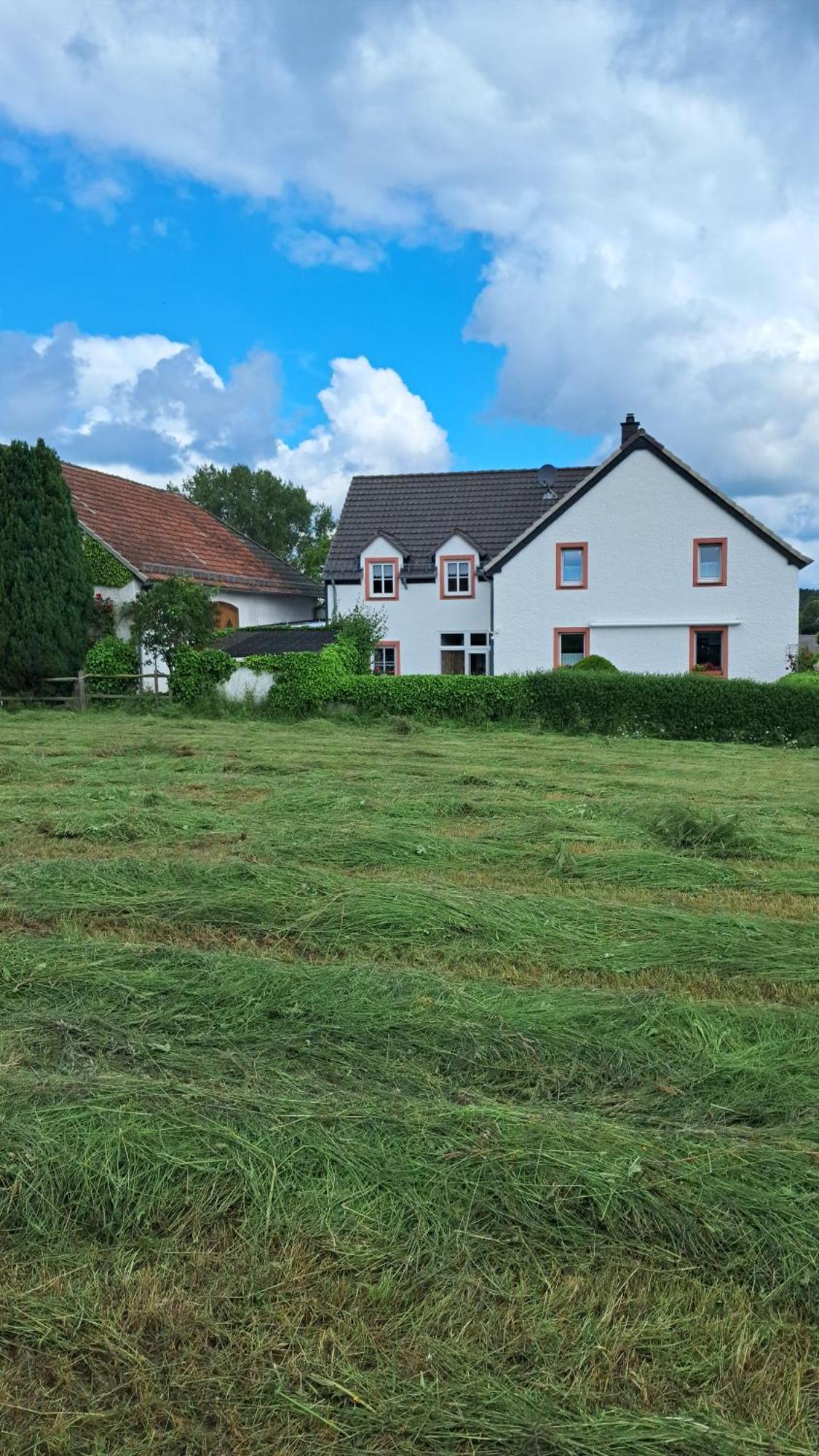 Ferienwohnung Eifelgold Esch Esch  Dış mekan fotoğraf